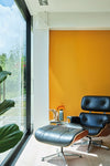Dutch Orange